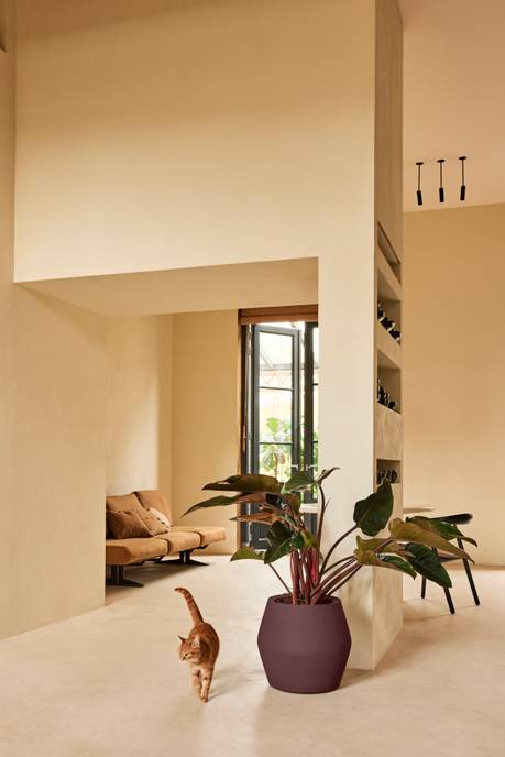 june split low 46cm vintage pruim